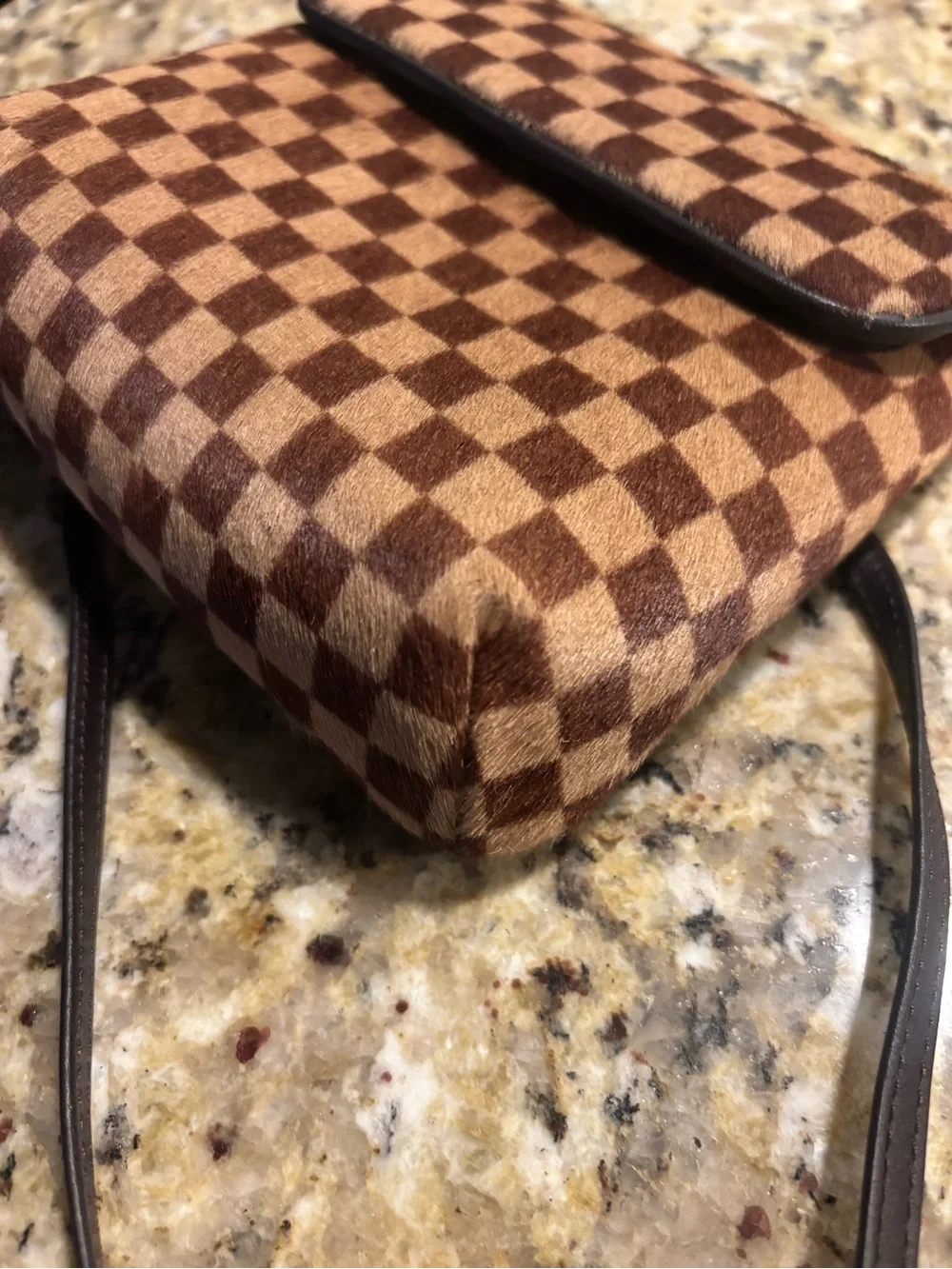 Louis Vuitton Damier Sauvage Gazelle shoulder bag